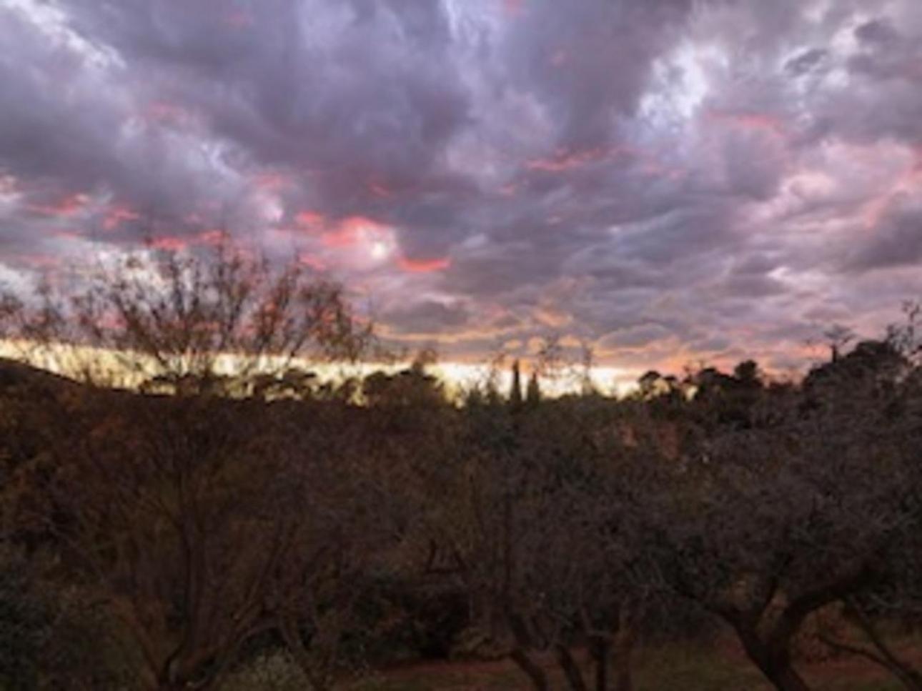 Bastide Saint Bernard Bed & Breakfast Le Thoronet Exterior foto