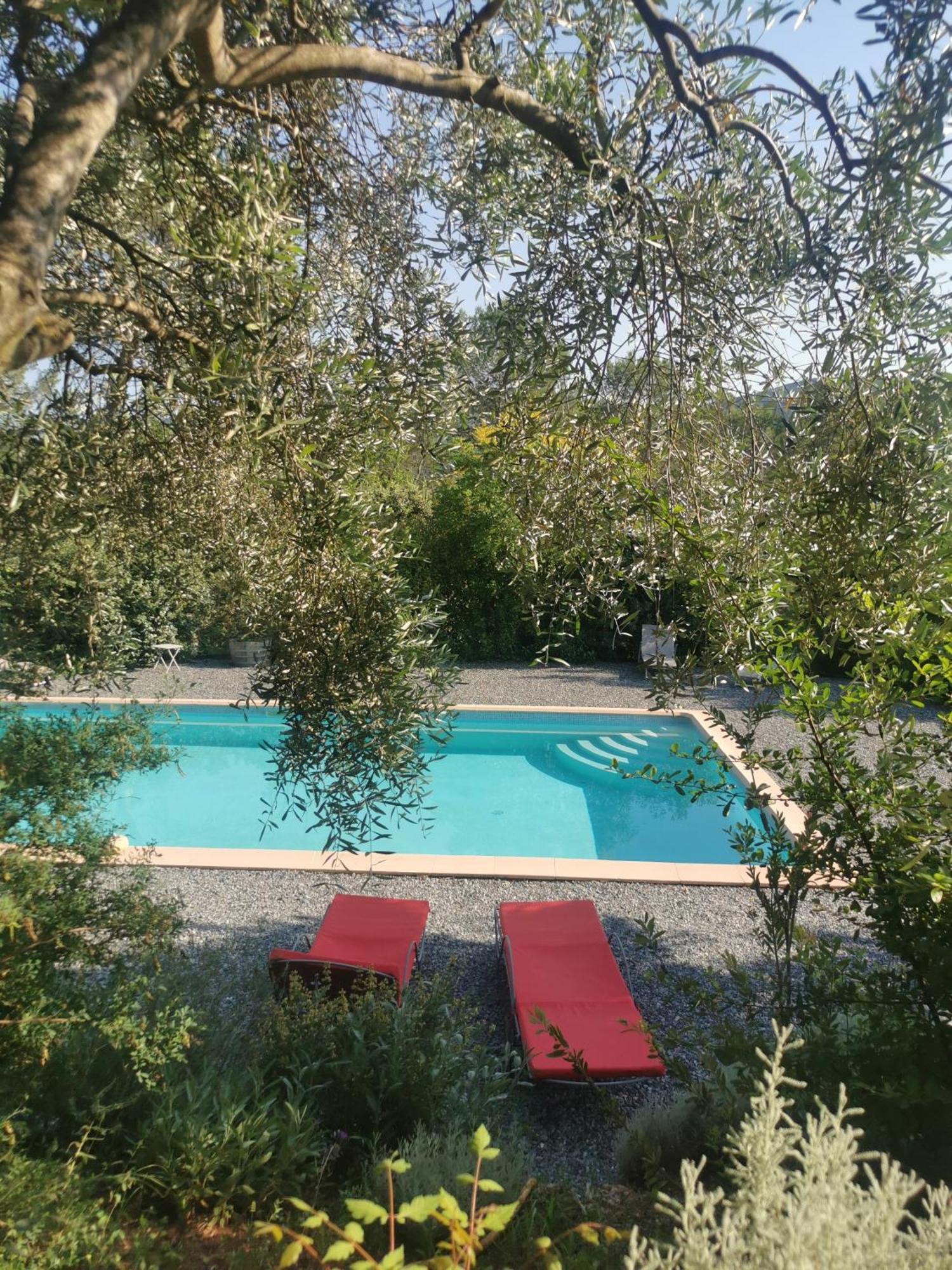 Bastide Saint Bernard Bed & Breakfast Le Thoronet Exterior foto