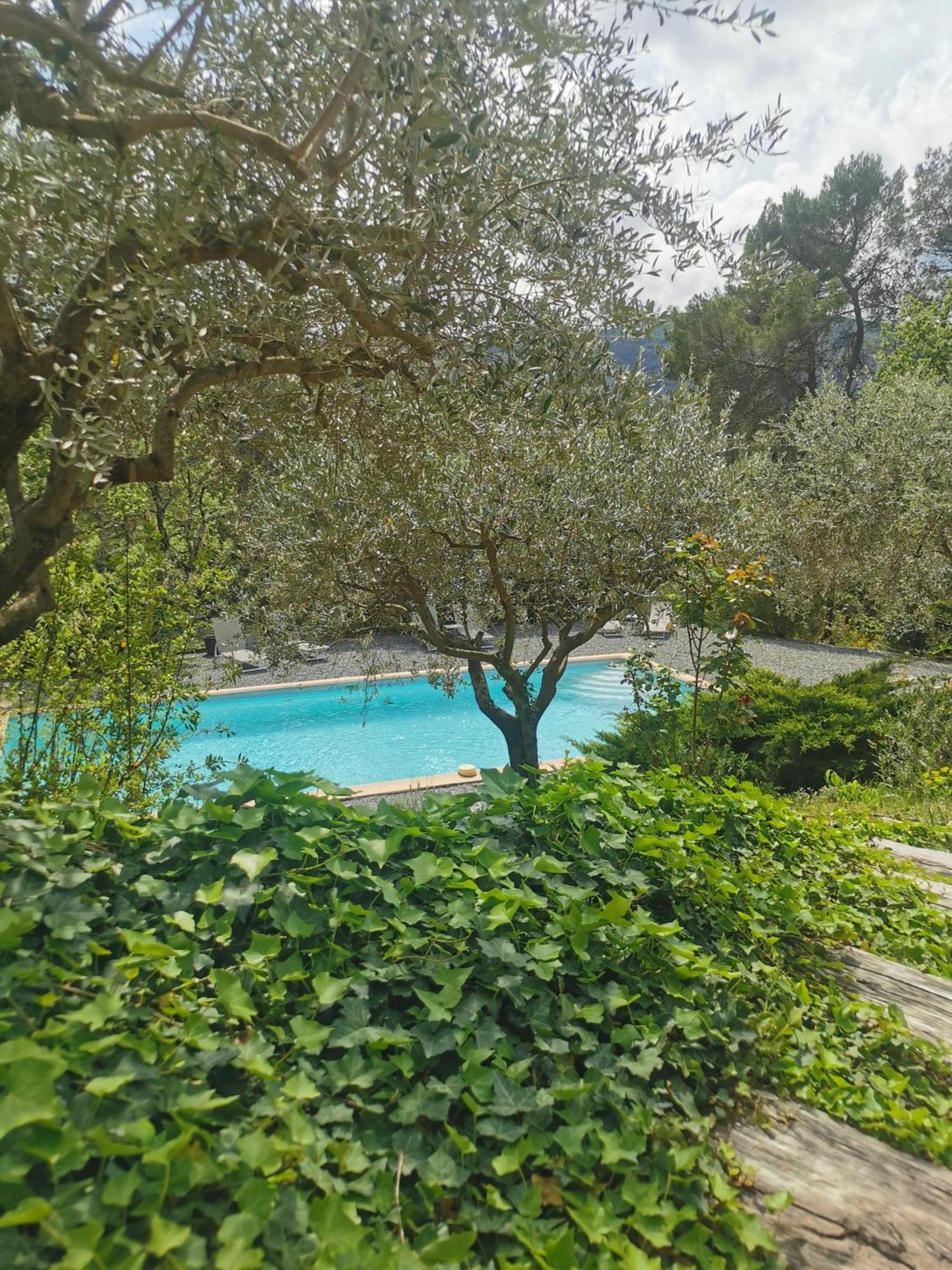 Bastide Saint Bernard Bed & Breakfast Le Thoronet Exterior foto