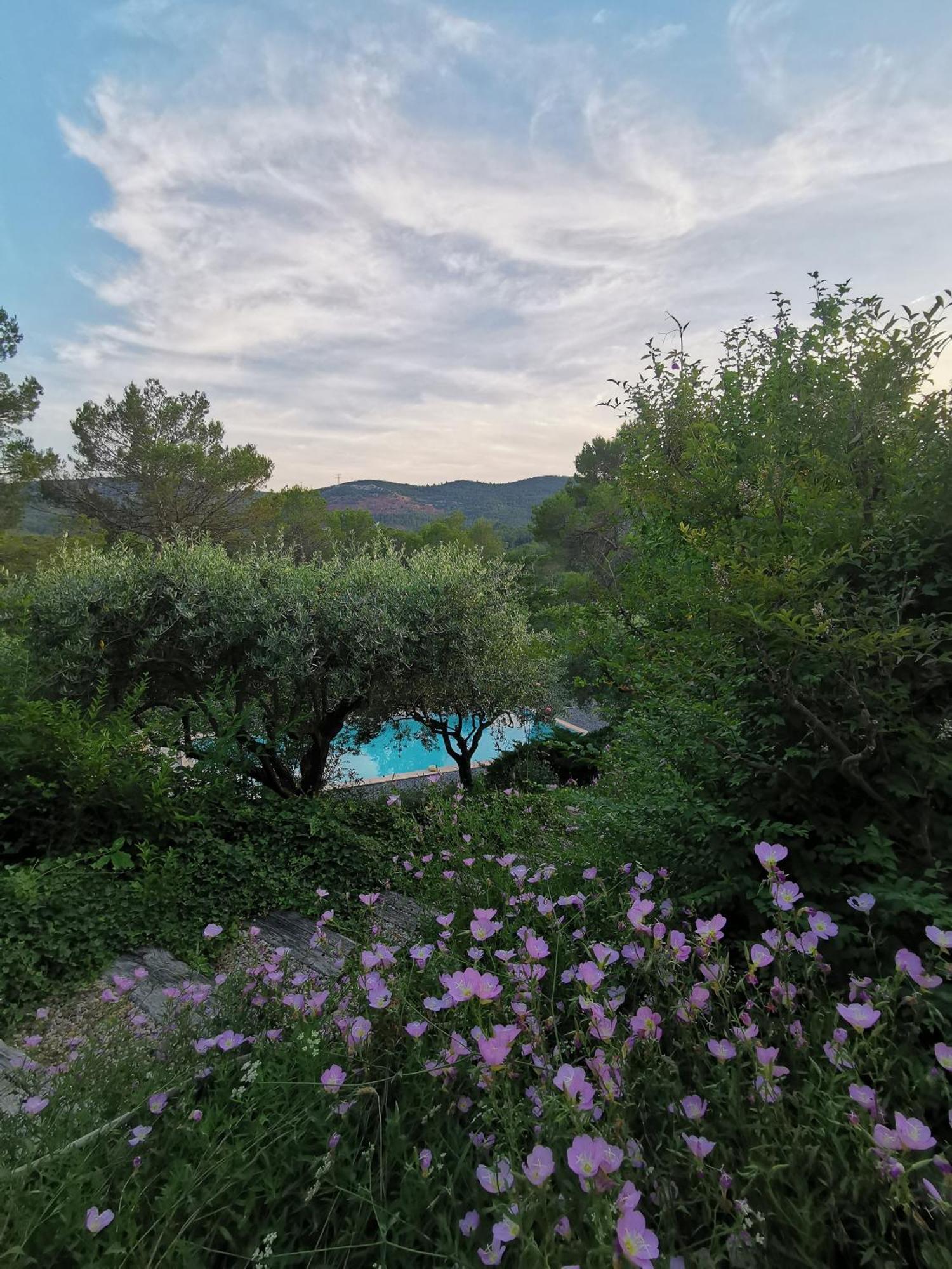 Bastide Saint Bernard Bed & Breakfast Le Thoronet Exterior foto