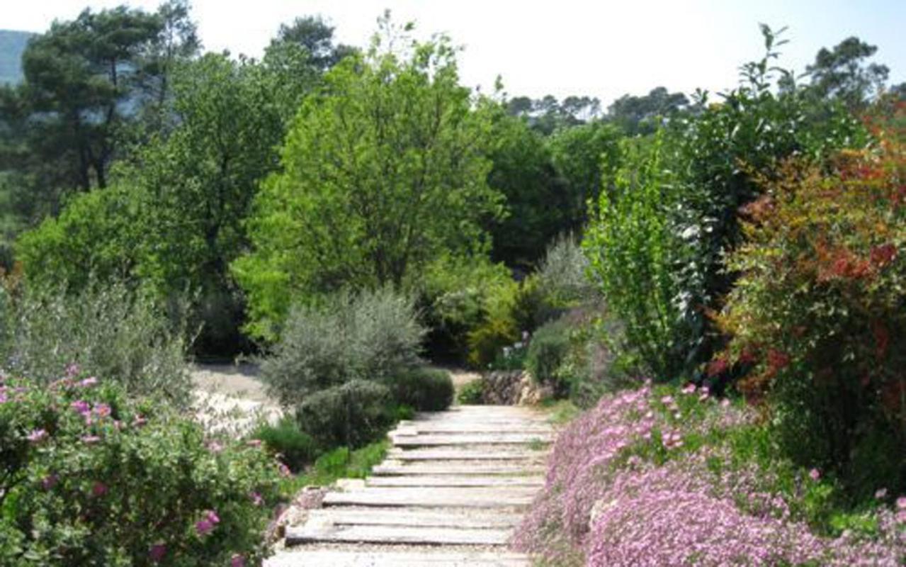 Bastide Saint Bernard Bed & Breakfast Le Thoronet Exterior foto
